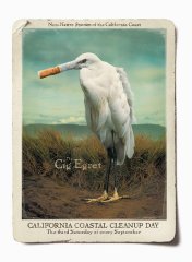 79  320x240 cig egret Events