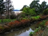thumbs after th Illegal Dumpsite