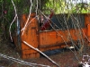 thumbs behind truck sm Illegal Dumpsite