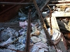 thumbs inside dumpster sm Illegal Dumpsite