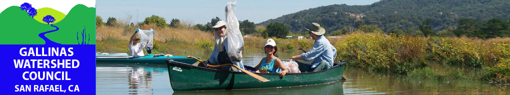coastal_cleanup