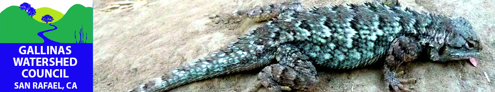 lizard_with_spikes