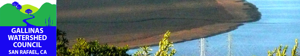 marsh_and_mouth_of_creek