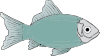 fish What You Can Do