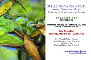 Creekwalker Bay Model Card 4x6 FINAL 3 300x200 Reflections on Water Photography Exhibit ENDS FEB 23