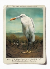 cig-egret