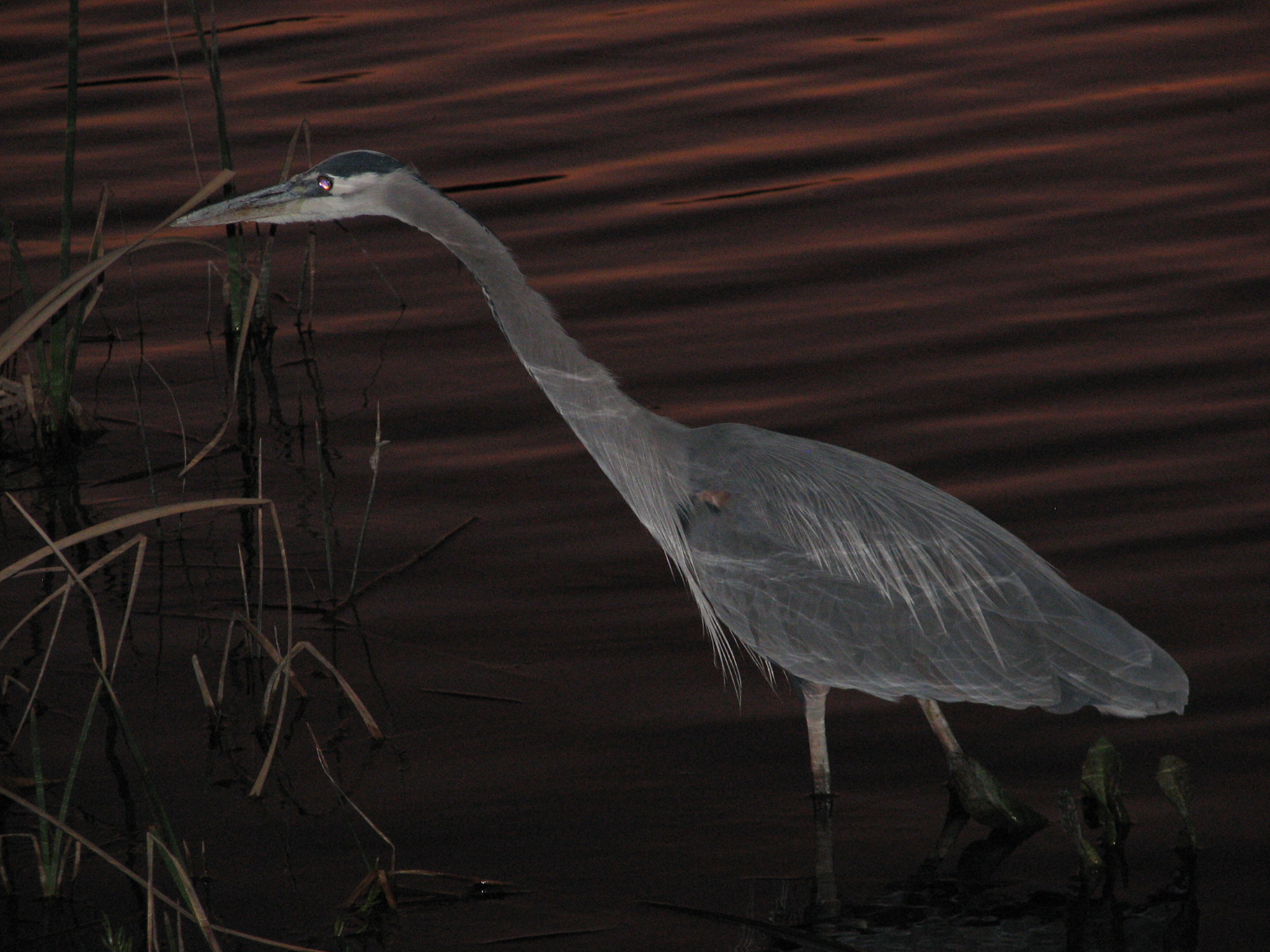 Gallinas Watershed Photography Exhibit at Bay Model in Sausalito
