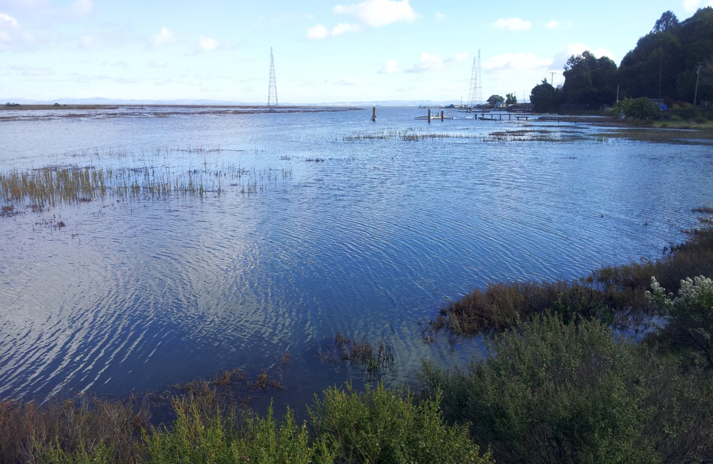 King Tide Creek Cleanup Jan 9-12, 2013