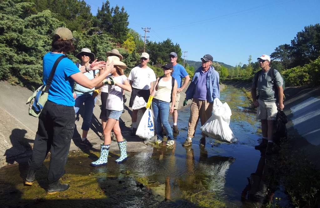 April 20 Earth Day Watershed Hike: Gallinas Creek Baylands