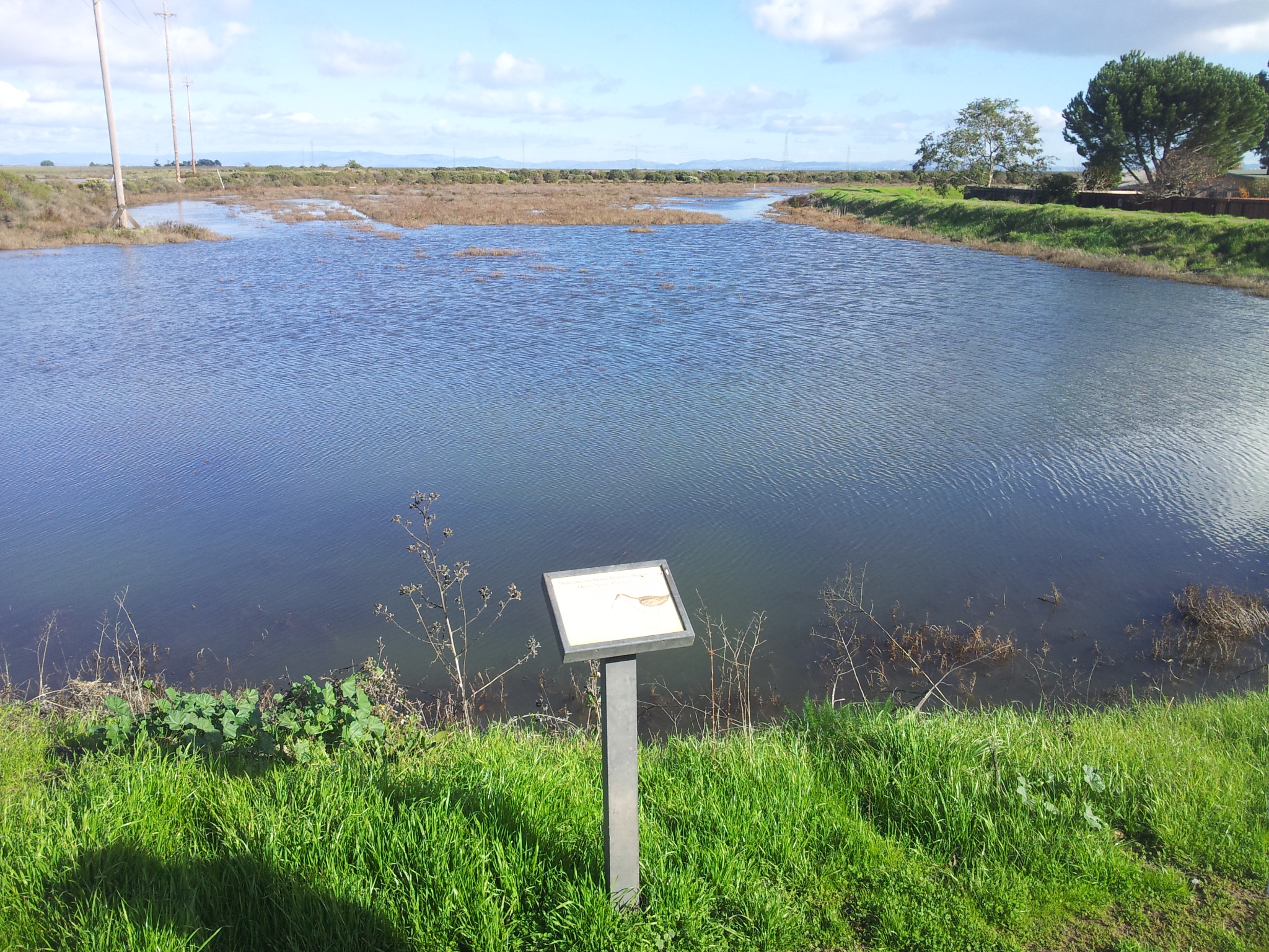 May 11 Watershed Hike: Gallinas Creek Baylands