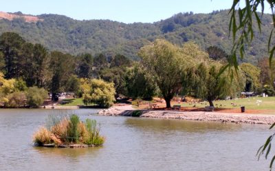 April 4 2018 GWC Meeting: CCWR Bioremediation Floating Islands Phase 2
