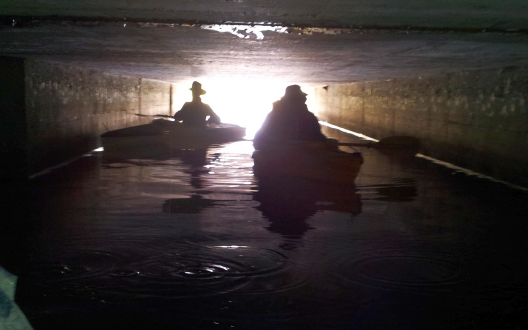 Second Annual Gallinas Creek King Tide Tour