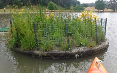 CIVIC CENTER FLOATING ISLAND UNVEILING JUNE 3 2016