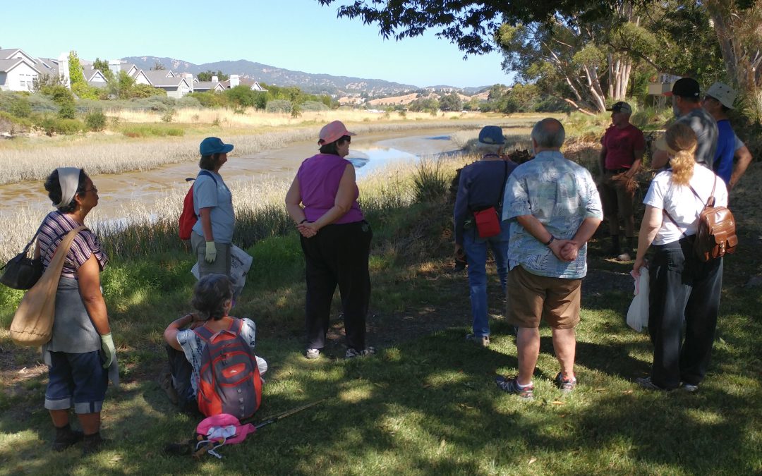 August 7, 2016 Watershed Hike: Lagoon to Levees