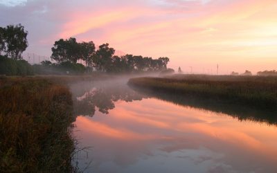 November 13 McInnis Park & Marsh Hike