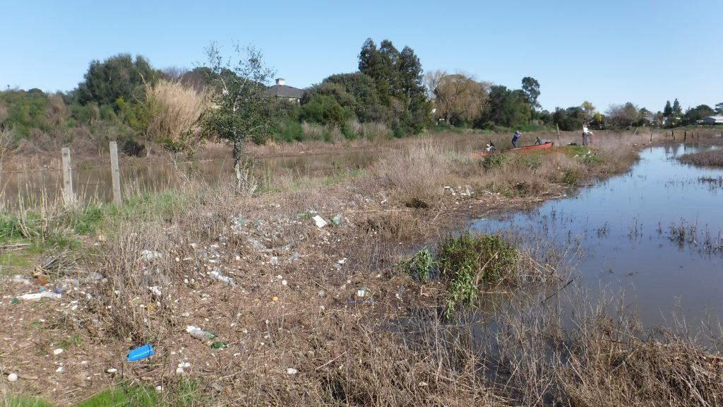 North Fork Gallinas Creek - Lots to clean up!