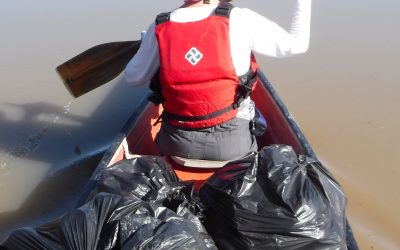 King Tide Cleanup Feb 11