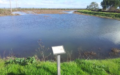 American Wetlands Month