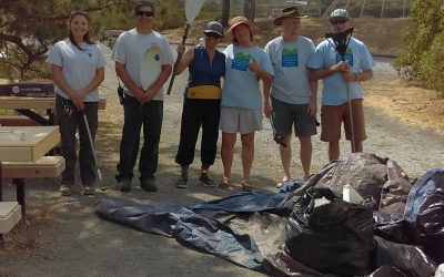 Coastal Cleanup Day Success