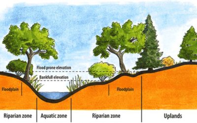 Feb 7 2018 GWC Board Meeting: Managing Urban Streams with Sarah Phillips, Marin RCD