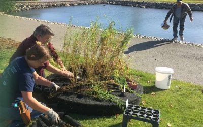 New Floating Island Biofilter launched at Marin Civic Center Lagoon