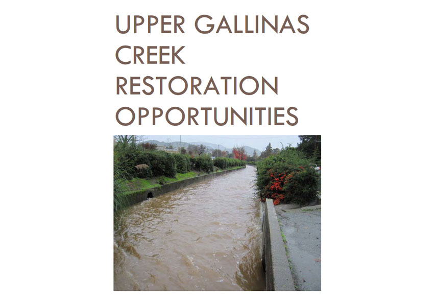 Gallinas Watershed Creek Restoration - Creek and texts. 