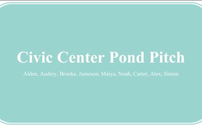 Civic Center Pond Pitch